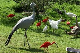 My Day with the Feathered Chaos: World of Birds, Cape Town - An Epic Fail (But Also, Totally Awesome!)
