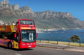 Riding the Red Bus: A Cape Town Odyssey with Nina and Meeka