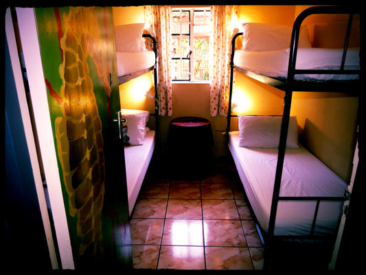 Budget 4 Bed Shared Dorm at Riverlodge Backpackers In Cape Town, South Africa