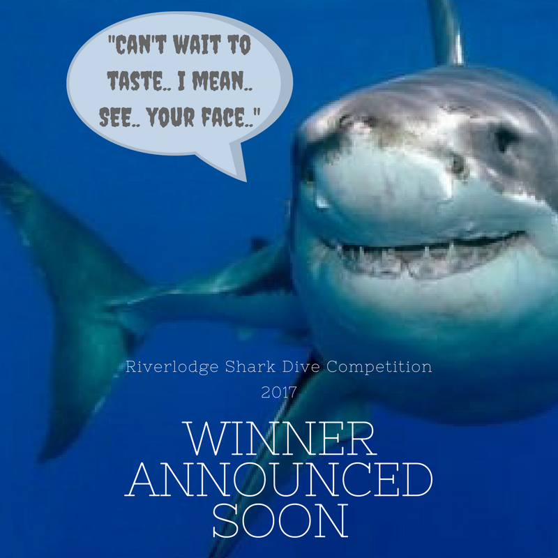 Shark Cage Dive Competition: Winner Announced Soon!