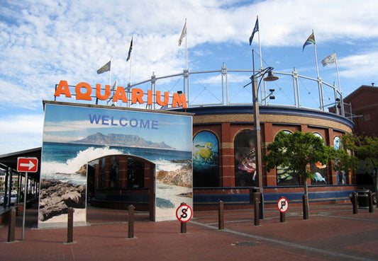 Exploring Cape Town: Two Oceans Aquarium and Castle of Good Hope