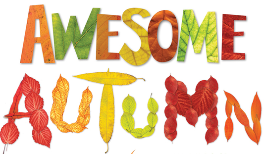 Awesome Autumn in Cape Town, climate, things to do