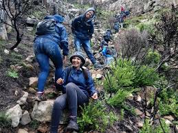 Elevate Your Corporate Experience: Unforgettable Cape Town Team Building &amp; Business Retreats at Riverlodge Backpackers