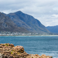 Gansbaai South Africa Shark Cage Diving Tours