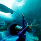 An Unforgettable Two Oceans Aquarium Adventure!