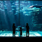 An Unforgettable Two Oceans Aquarium Adventure!
