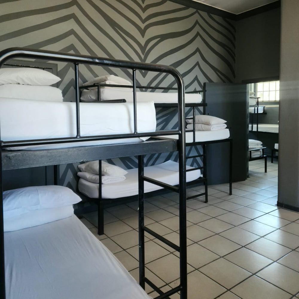 15 Bed Mixed Dorm En-Suite (Male and Female)