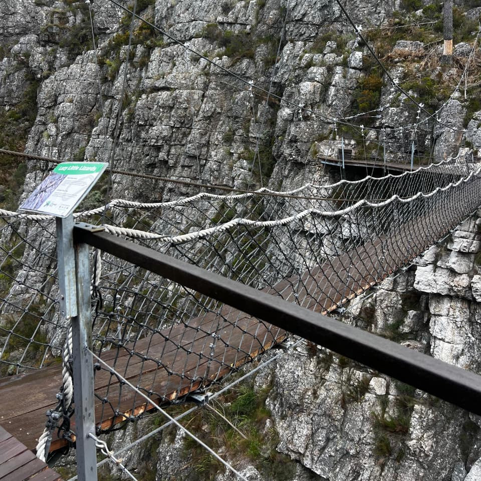 1 Day 4x4 and Zipline Adventure: Cape Canopy Tour