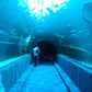 An Unforgettable Two Oceans Aquarium Adventure!
